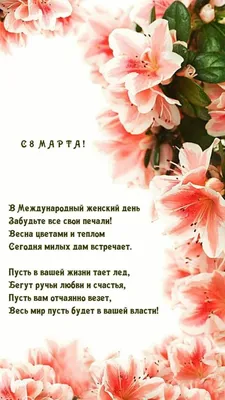Петербурженки просят не желать им на 8 марта нежности и улыбок - KP.RU