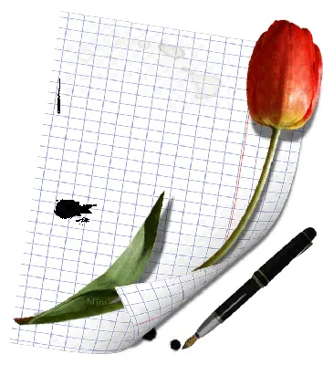 Нежные тюльпаны к 8 марта - открытка с 8 Марта анимационная гиф картинка  №11727