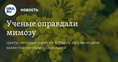 Masa Media | Как поздравить с 8 марта и не облажаться - Издание о политике,  правах и законах Казахстана