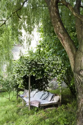 Уютный уголок в саду фото