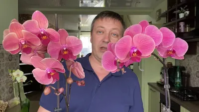 Это интересно | Всё об Орхидеях