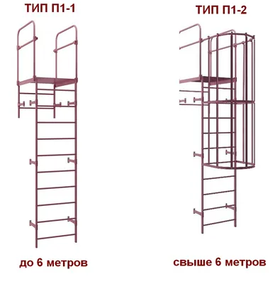 Пожарная лестница П1-1 BORGE (800*3000 мм) окрашенная — Экстерьер ПАРК —  Чердачные лестницы, купить кровлю, вентилируемый фасад, фасад дома