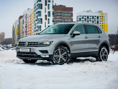 Год тигра и игуаны: тест-драйв нового Volkswagen Tiguan 2,0 TSI - КОЛЕСА.ру  – автомобильный журнал