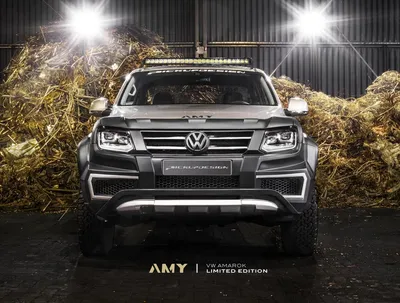 Тюнинг-ателье Carlex Design представило пикап Volkswagen Amarok Amy