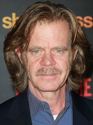 Уильям Холл Мэйси (William Hall Macy) – биография, фото, личная жизнь, жена  и дети, рост и вес 2023 | Узнай Всё