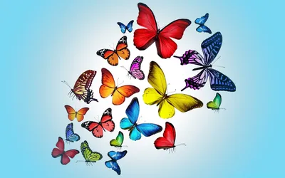 Радужные бабочки на дневном небе - обои на рабочий стол