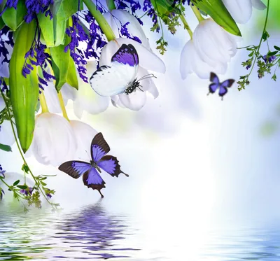 Тюльпаны и бабочки над озером с отражением - обои на рабочий стол