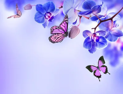Бабочки кружат у синей орхидеи | Обои для телефона