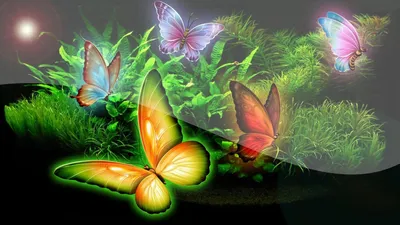 Обои сказочные бабочки - 46 фото
