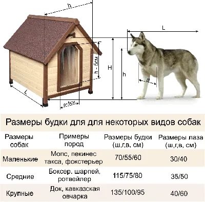 Будка для собаки размеры | Как расчитать | Таблица соответствия породам