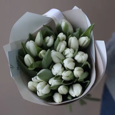 Букет из 19 белых тюльпанов - Flora Premium - Доставка Букетов на дом