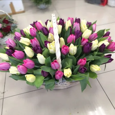 Корзина из 75 тюльпанов - Flora Premium - Доставка Букетов на дом