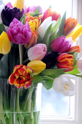 Букет тюльпанов в вазе дома - 68 фото