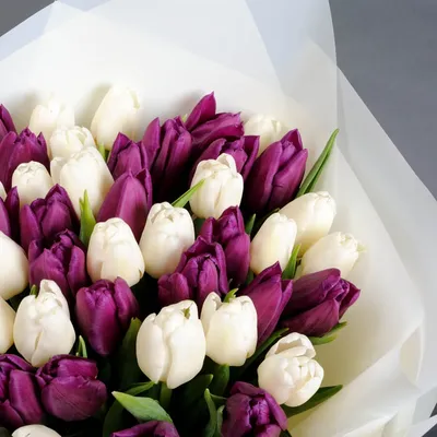 Букет тюльпанов белых и фиолетовых Черничное Парфе в Киеве с доставкой