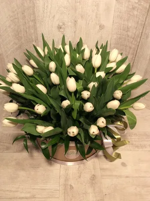 Букет тюльпанов №6 — Цветы в Калининграде с доставкой на дом. Заказывай на  сайте.