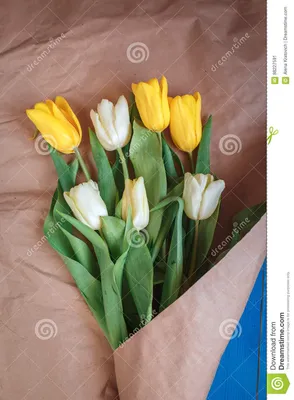 Делающ букет белых и желтых тюльпанов дома Стоковое Изображение -  изображение насчитывающей ð³oñ‚oð²ñœñ‚ðµ, ð±ñƒñ‚ð¸ðºð°: 88227591