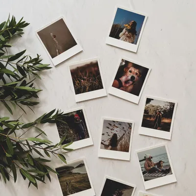 Polaroid kartītes | ES MĪLU FOTO | Es Mīlu Foto