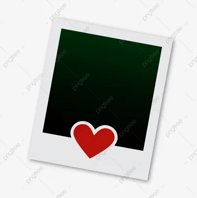 Polaroid PNG рисунок, картинки и пнг прозрачный для бесплатной загрузки |  Pngtree