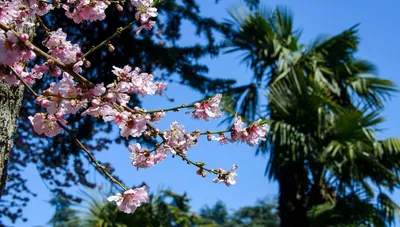 Весна в Крыму меж двух штормов и снега - фото - РИА Новости Крым, 03.04.2021