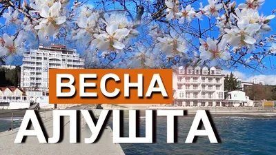 Алушта. Весна пришла. Набережная и Профессорский (рабочий) уголок. Пошла  Кефаль. Капитан Крым - YouTube