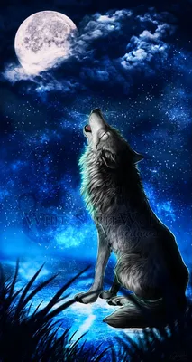 Воющий волк арт - 32 фото