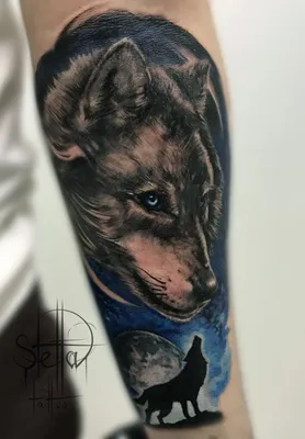 Портрет волка и волк воющий на луну, тату на предплечье - фото татуировок
