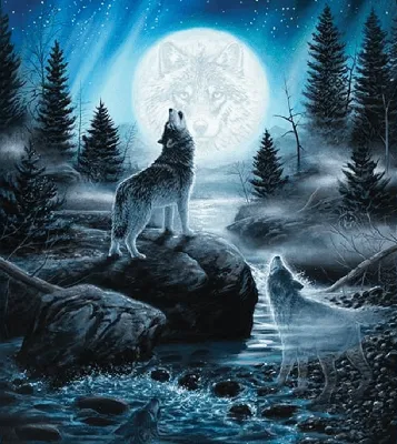 Волк воет на луну - фото и картинки: 94 штук