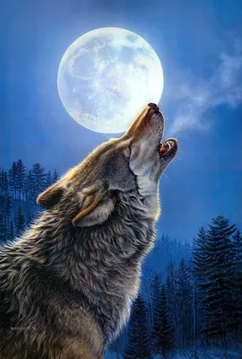 Воющего волка на луну фото