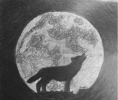Как нарисовать воющего на луну волка • Makusha