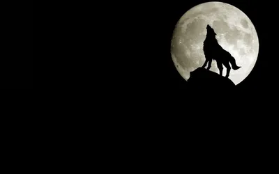Силует воющего волка в ночи на фоне луны | Обои для телефона