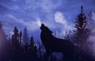 Почему волки воют на луну | Детское радио | Дзен