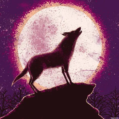 Силуэт воющего волка, стоящего на камне на фоне большой круглой луны |  Картинка на аву