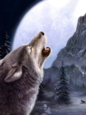 Скачать картинку Арт. Воющий волк, Луна, гора, ели бесплатно