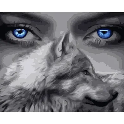 Обои глаза, взгляд, морда, волк, хищник картинки на рабочий стол, раздел  животные - скачать