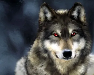 Белый волк с разноцветными глазами — Картинки и авы