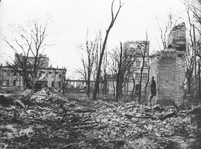 Разрушенный дворец Паскевичей в освобожденном Гомеле — военное фото