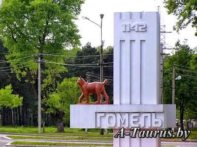 Гомель город в Беларуси история – BelGid