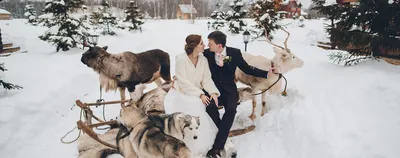 Зимняя свадьба: гид по организации · NEVESTA.MOSCOW