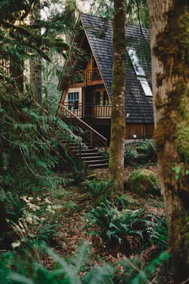 Современный домик в лесу для уединения | Пикабу