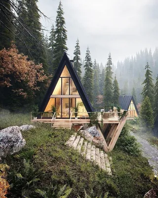 Дачный домик в лесу - фото и картинки: 31 штук