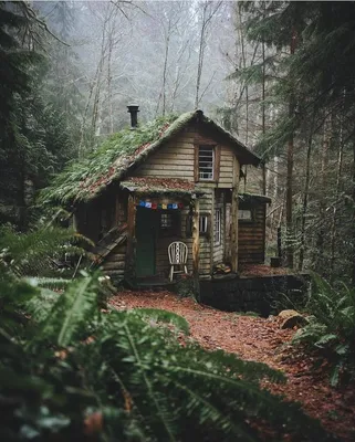 Лесной домик - 65 фото