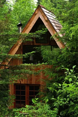 Автономный мини-дом в стиле дзен среди леса