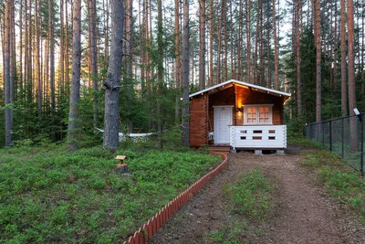 Наш бюджетный домик в лесу | Выходные в путешествии | Дзен