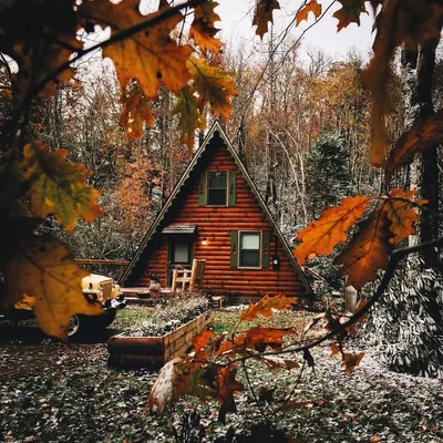 Домик в лесу осенью - 59 фото