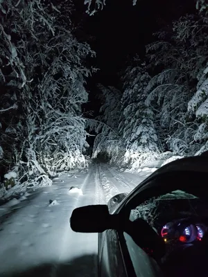В машине ночью зимой - фото и картинки: 139 штук