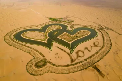 ФОТО | Чудесный оазис посреди пустыни — озеро Любви в Дубае - Turist