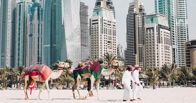 Дубай — мировая столица luxury: инструкция по применению | Журнал Robb  Report