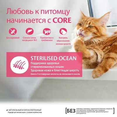 Корм из лосося для стерилизованных кошек и кастрированных котов — Wellness  CORE