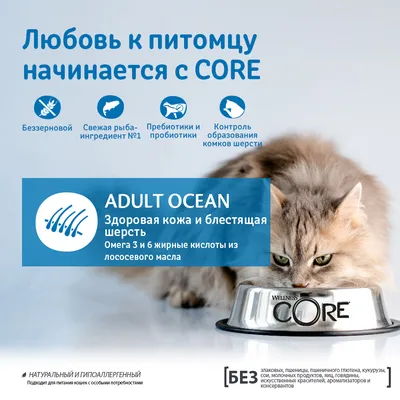 Корм из лосося с тунцом для взрослых кошек — Wellness CORE