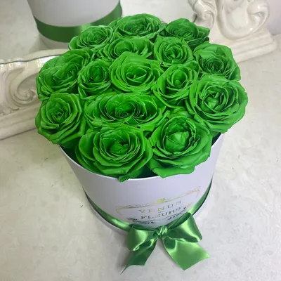 15 зеленых роз в коробке | Бесплатная доставка цветов по Москве